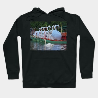 Swan swimming with some friends Hoodie